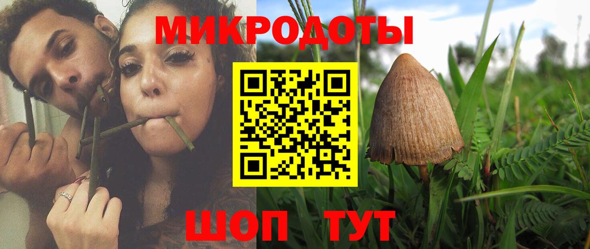 Псилоцибиновые грибы мицелий  Вход с VPN  Нерюнгри 